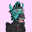 ZESTYZEBRA1751