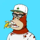 ChilledKong6406