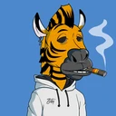 ZESTYZEBRA3042