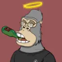 ChilledKong1086