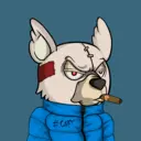 SavageBears964