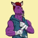 kangaroofightsociety#4573
