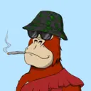 ChilledKong7359