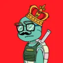 TTSTurtle3677