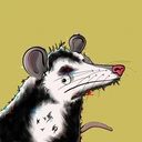 Possum #4327