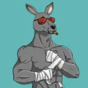 kangaroofightsociety#951