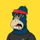 ChilledKong0504
