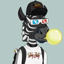 ZESTYZEBRA2408