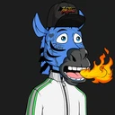 ZESTYZEBRA5373