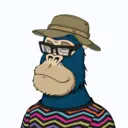 ChilledKong4047