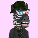 ZESTYZEBRA1167