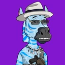 ZESTYZEBRA4787