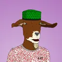 Goatia12697
