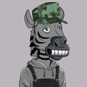 ZESTYZEBRA1285