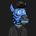 ZESTYZEBRA1176