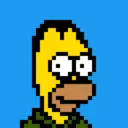 HomerPunks9446