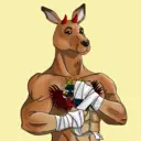 kangaroofightsociety#3045