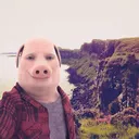 JOHN PORK