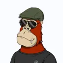 ChilledKong5293