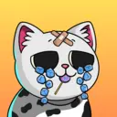crycat1270