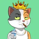 CATSTANBUL129