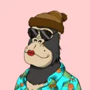 ChilledKong4590