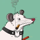Possum #3634