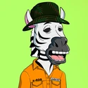 ZESTYZEBRA1754
