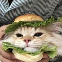 Burger Cat