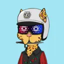 BossCatRocketClub3050