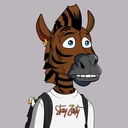 ZESTYZEBRA5404