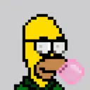 HomerPunks4236