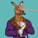 kangaroofightsociety#3558