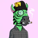 ZESTYZEBRA4159