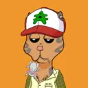 BossCatRocketClub6801