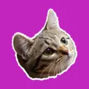Riki