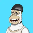 ChilledKong0786