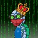 TTSTurtle4249