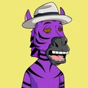 ZESTYZEBRA805