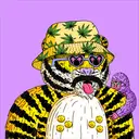 Tigerz1112