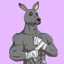 kangaroofightsociety#245
