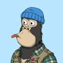 ChilledKong8093