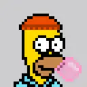 HomerPunks6688