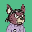 SavageBears946