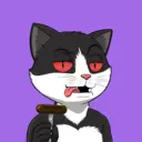 CATSTANBUL967