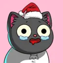 crycat404