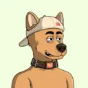Brave Dog #2156