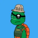 TTSTurtle2354