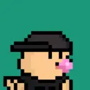 pixel seal 2529