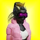 SheDevils404